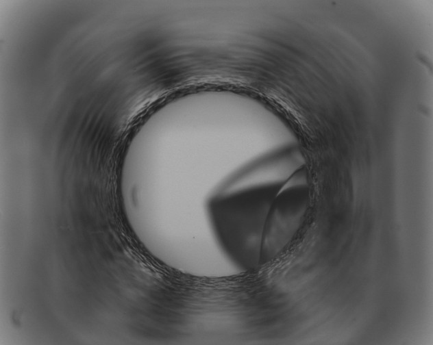 X0000091670824200709131527