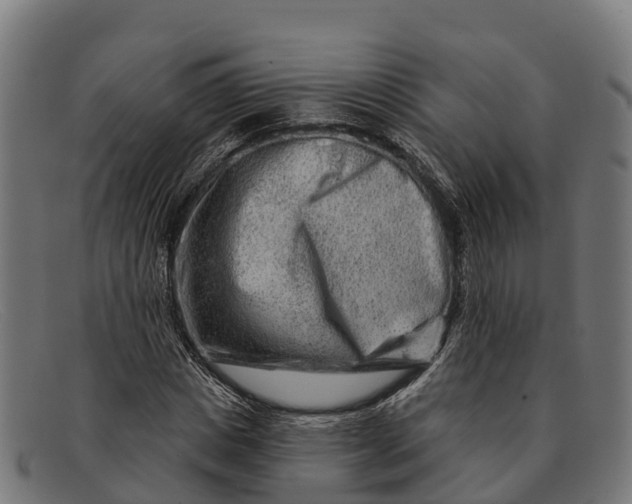 X0000091670825200709131527