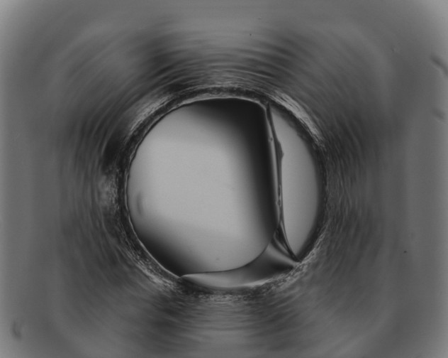 X0000091670826200709131527