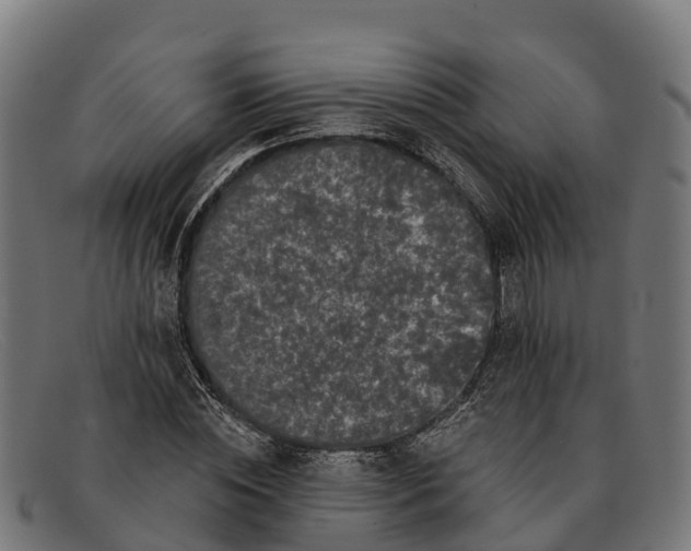 X0000091670828200709131527