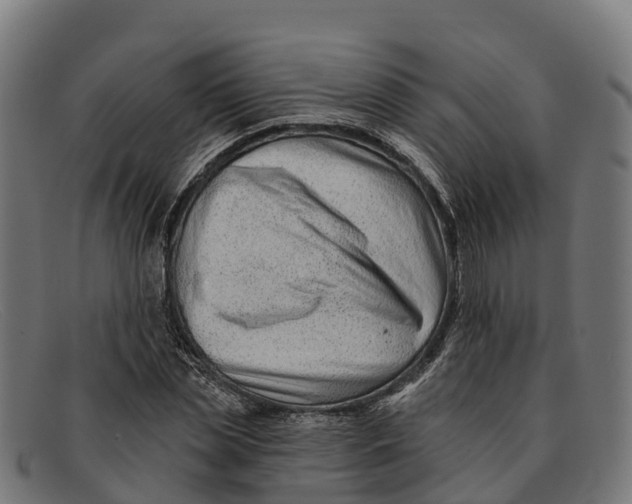 X0000091670829200709131527