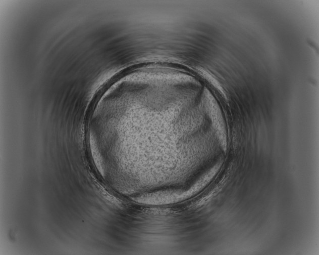 X0000091670831200709131527