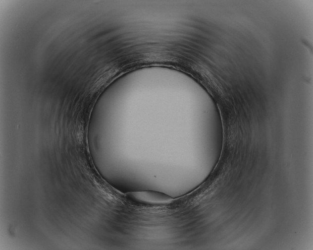 X0000091670833200709131527