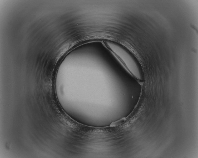 X0000091670834200709131527