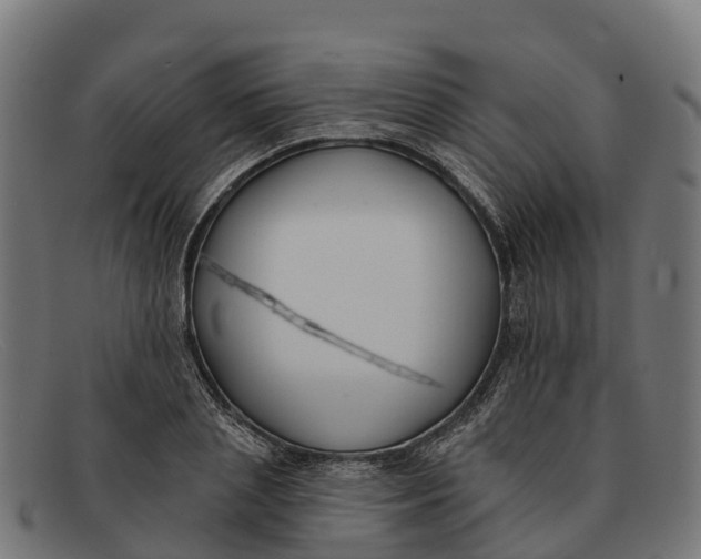 X0000091670837200709131527