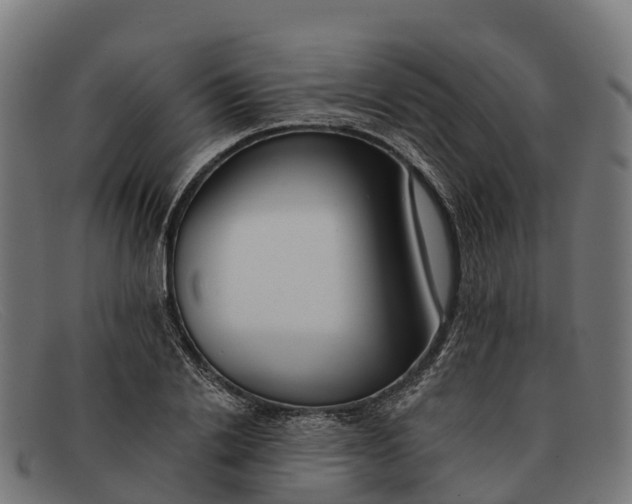 X0000091670838200709131527