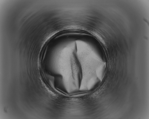 X0000091670839200709131527