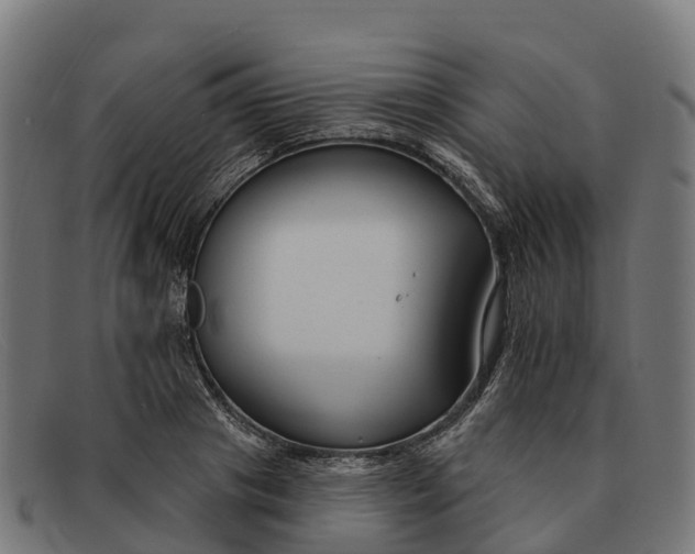 X0000091670841200709131527