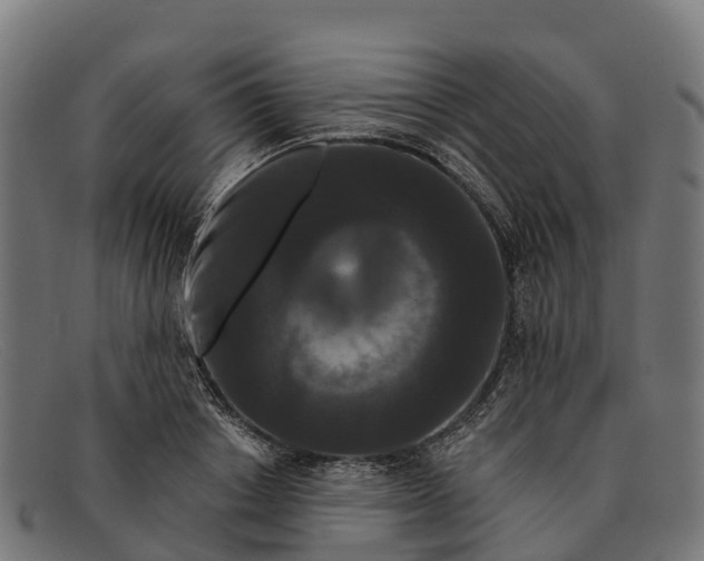 X0000091670842200709131527