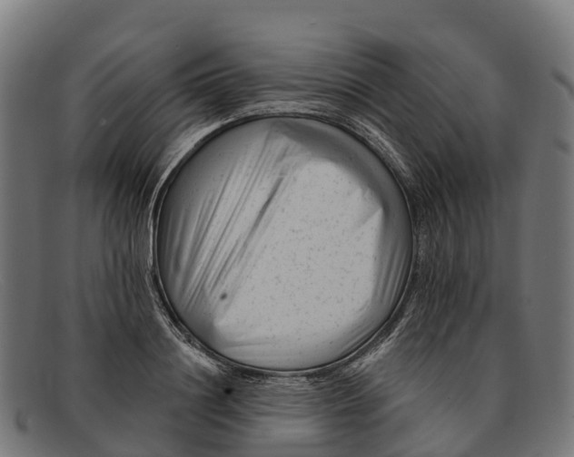 X0000091670844200709131527