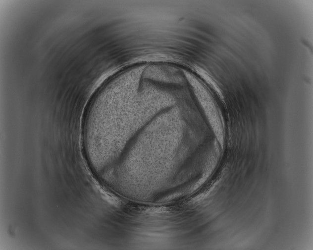 X0000091670845200709131527