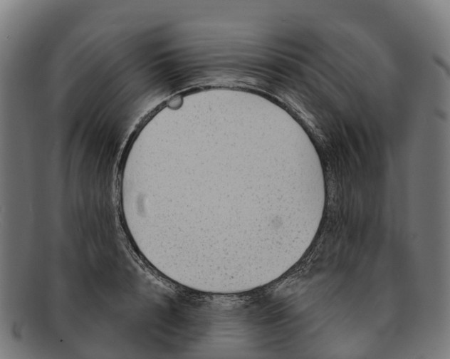 X0000091670848200709131527