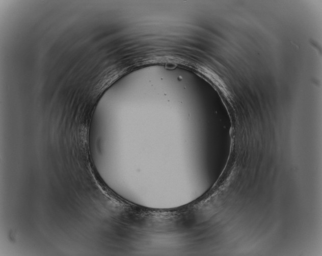 X0000091670849200709131527