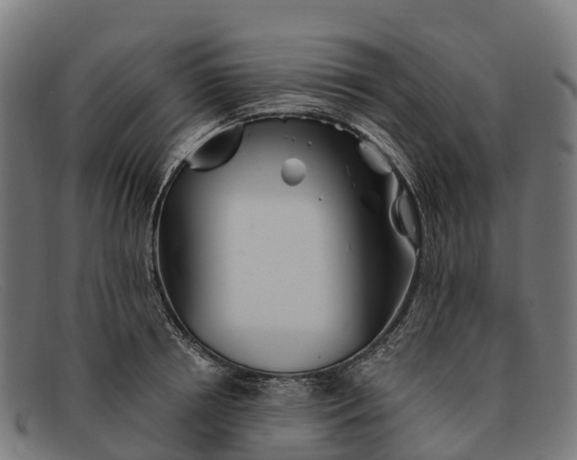 X0000091670850200709131527