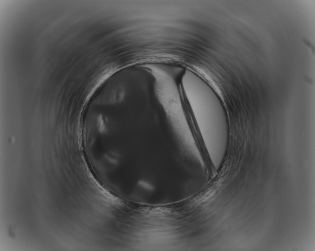 X0000091670851200709131527