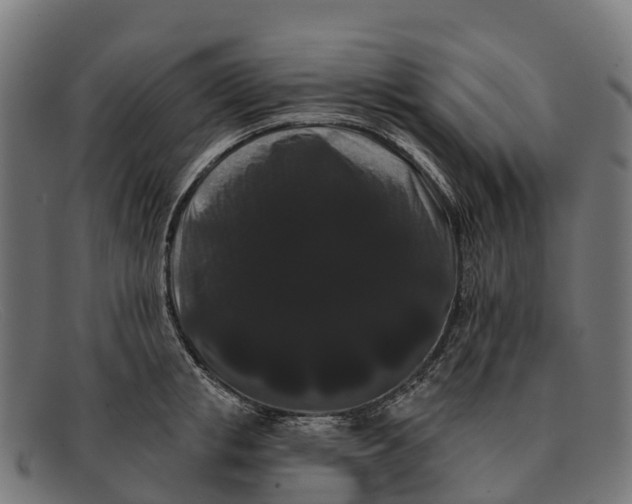 X0000091670853200709131527