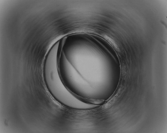 X0000091670854200709131527