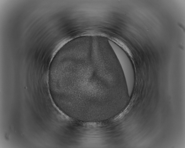 X0000091670855200709131527