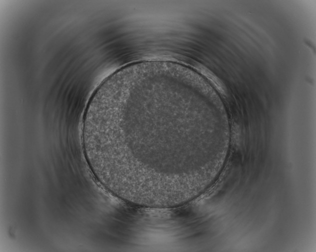 X0000091670856200709131527