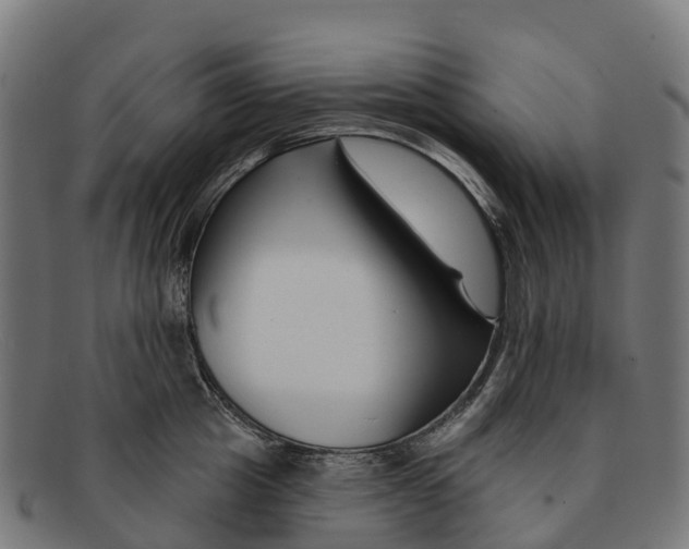 X0000091670857200709131527