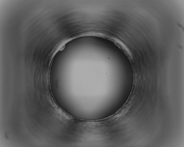 X0000091670860200709131527