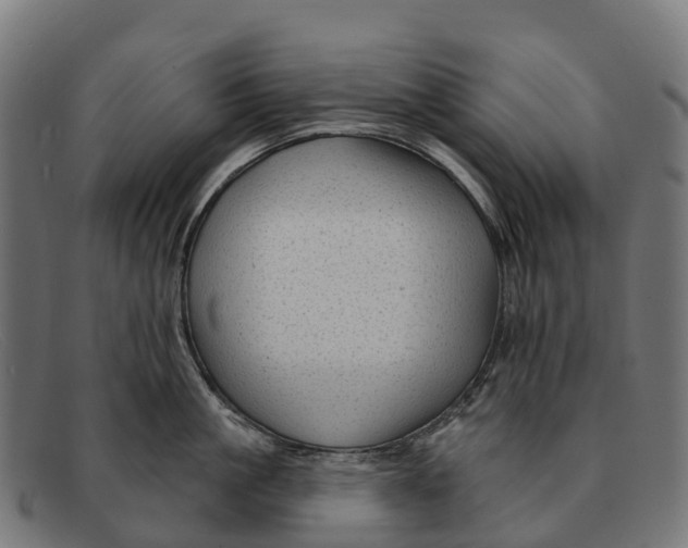 X0000091670861200709131527