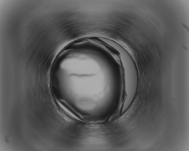 X0000091670862200709131527