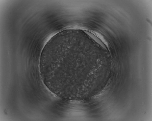 X0000091670863200709131527