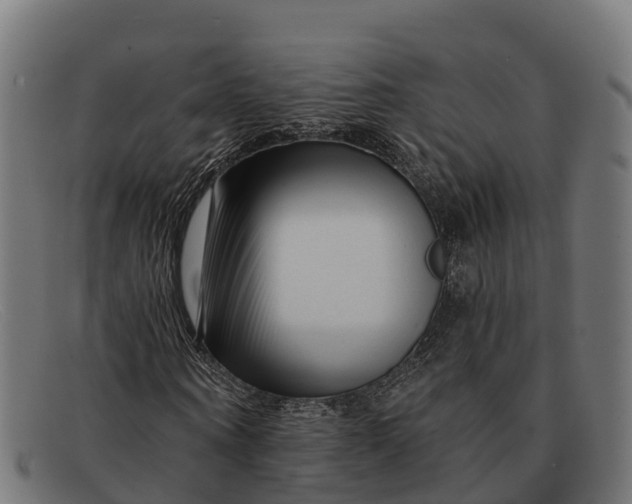 X0000091670866200709131527