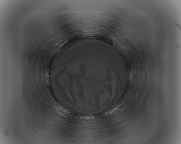 X0000091670868200709131527