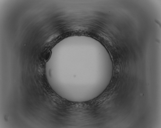 X0000091670869200709131527