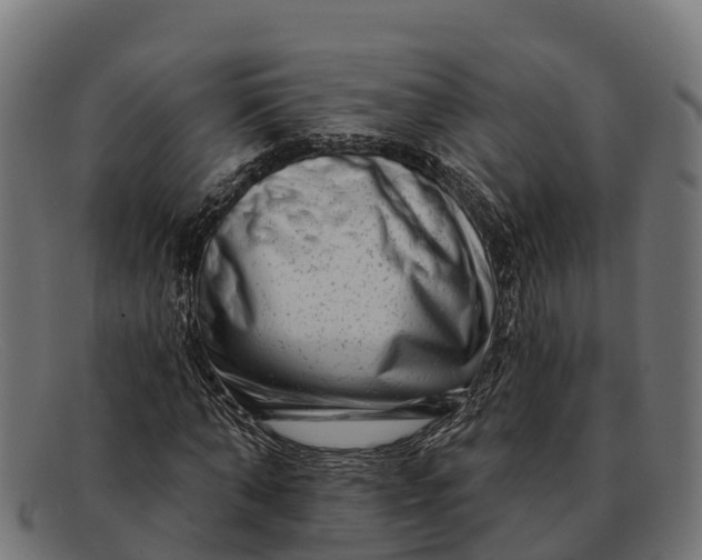 X0000091670870200709131527