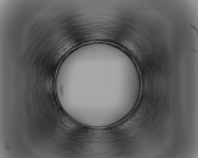 X0000091670873200709131527