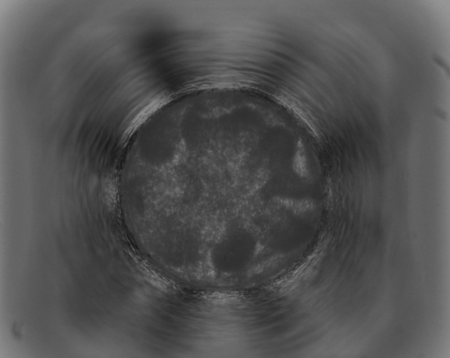 X0000091670874200709131527