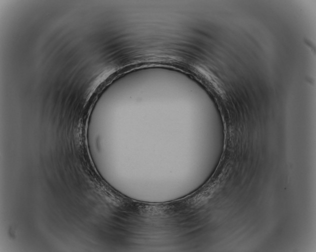 X0000091670875200709131527