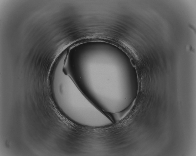 X0000091670876200709131526