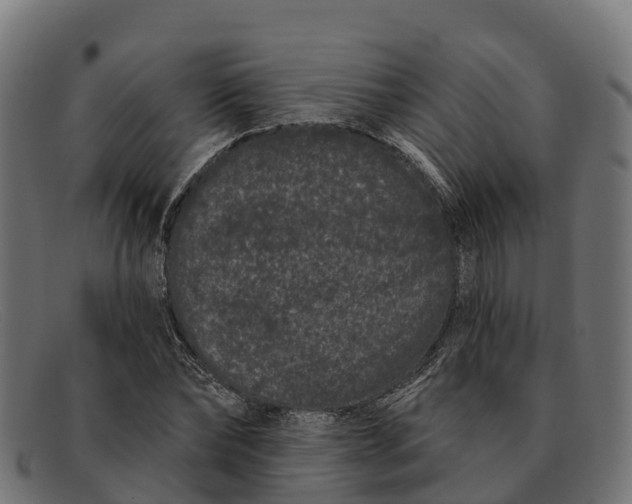 X0000091670878200709131526