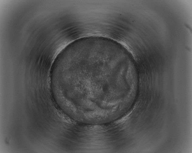 X0000091670879200709131526