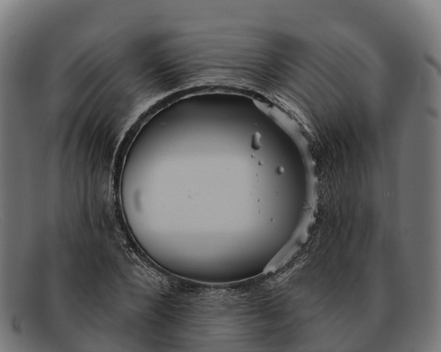 X0000091670880200709131526