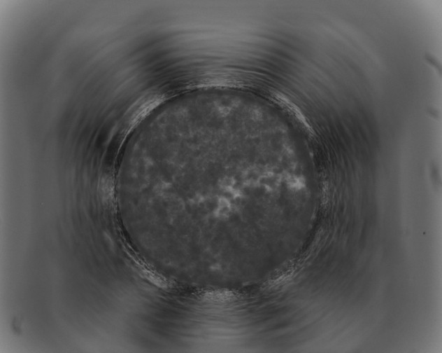 X0000091670882200709131526