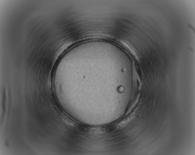 X0000091670883200709131526