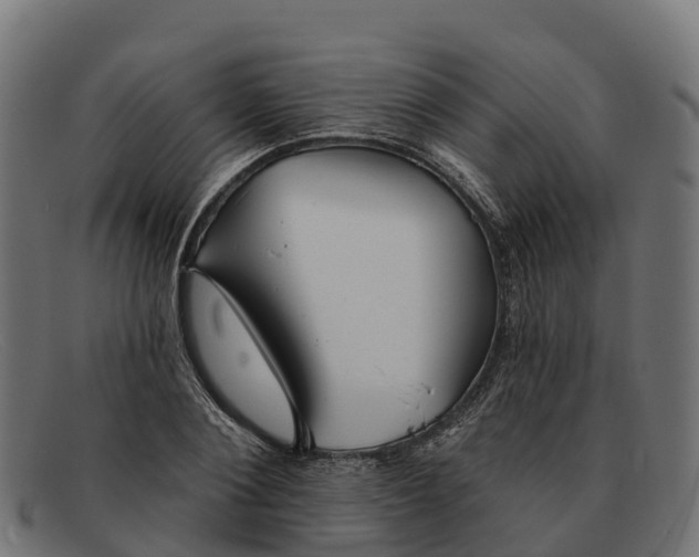 X0000091670884200709131526