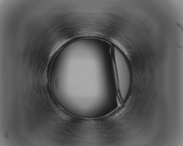 X0000091670885200709131526