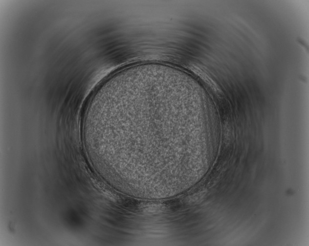 X0000091670886200709131526