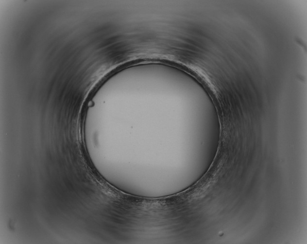 X0000091670887200709131526