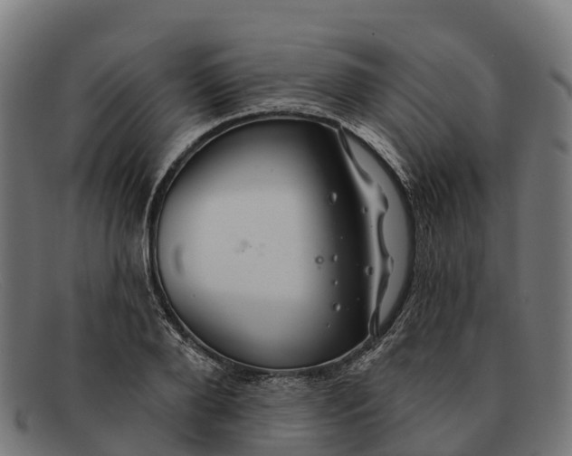 X0000091670888200709131526