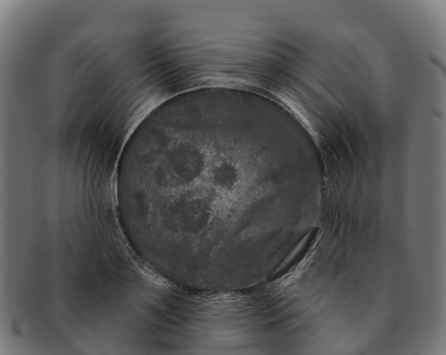 X0000091670891200709131526