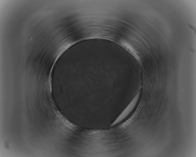 X0000091670892200709131526