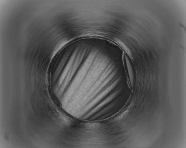 X0000091670893200709131526