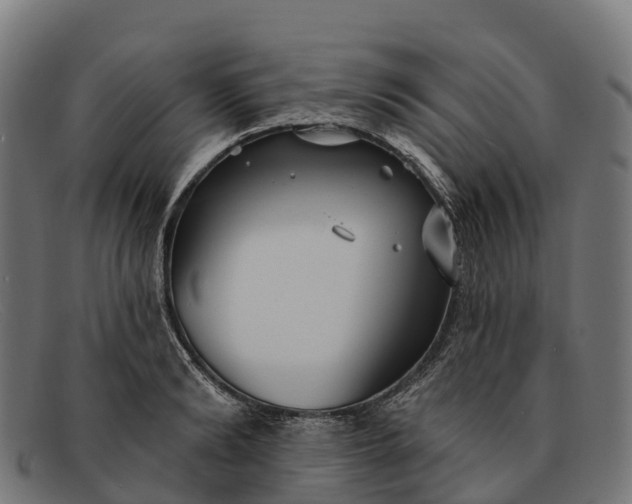 X0000091670894200709131526